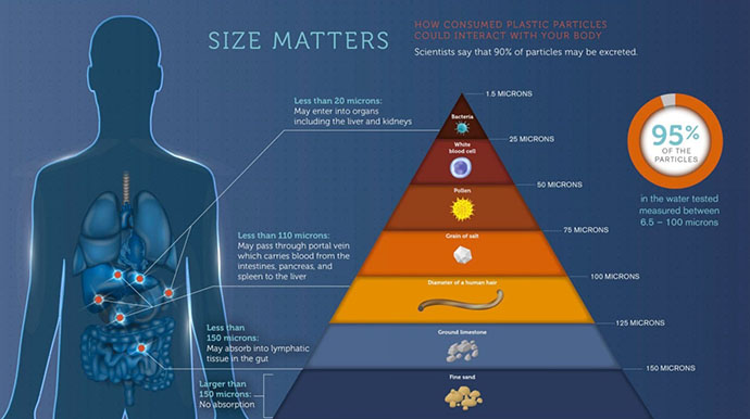 Вред микропластика для здоровья